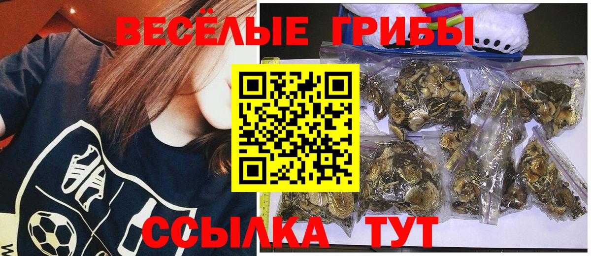 Псилоцибиновые грибы Magic Shrooms  Вход с VPN  Бузулук 